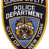 Students Sue NYPD, Allege Abuse By School Cops